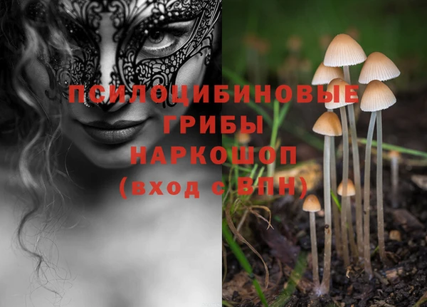 амф Алексин