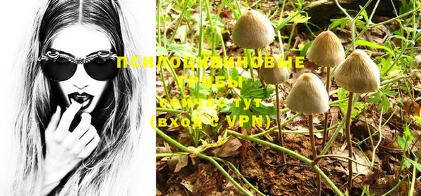 PSILOCYBIN Алексеевка