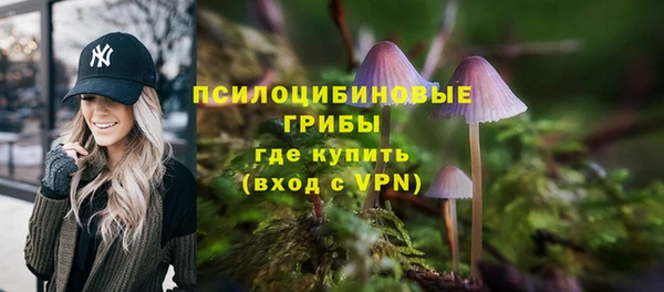 твердый Алзамай