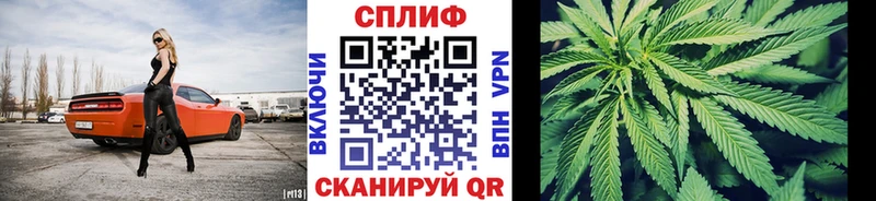 Канабис гибрид Дыгулыбгей